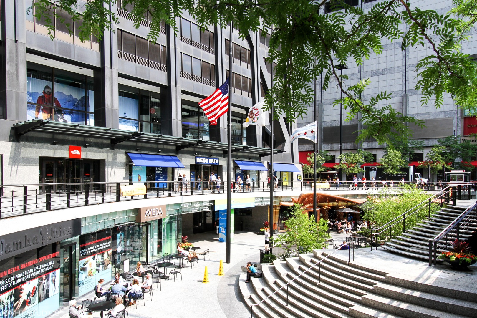 175 E Delaware Place 5511