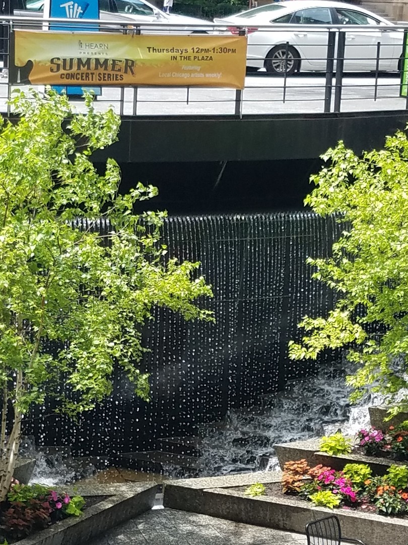 175 E Delaware Place 5511