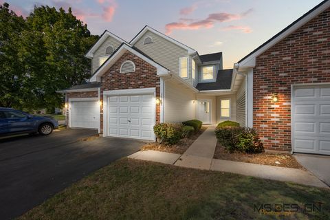 1546 Cottonwood Trail 1546 Yorkville IL 60560