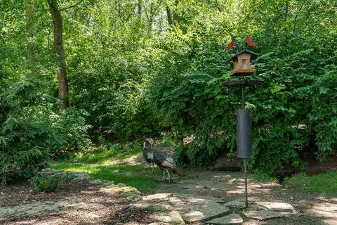 Tiny photo for Roscoe, IL 61073 (MLS # 12787218)