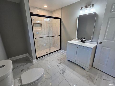 Tiny photo for 309 W 11th St Street, Metropolis, IL 62960 (MLS # EB459658)