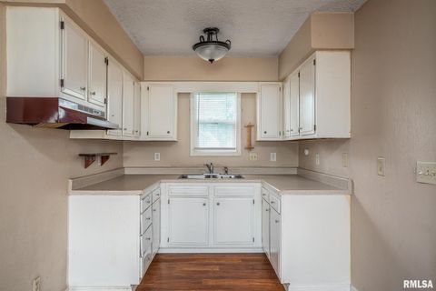 Tiny photo for 815 21ST Street, East Moline, IL 61244 (MLS # QC4268186)