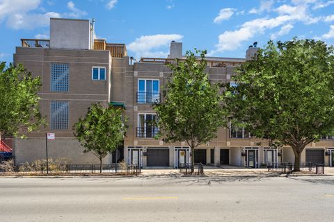1157 W Newport Avenue M Chicago IL 60657