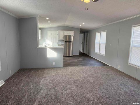 Tiny photo for 193 OAK VALLEY Drive, Carbondale, IL 62901 (MLS # EB460746)