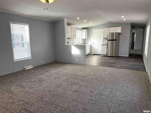 Tiny photo for 193 OAK VALLEY Drive, Carbondale, IL 62901 (MLS # EB460746)