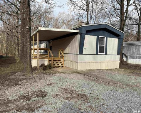 Tiny photo for 193 OAK VALLEY Drive, Carbondale, IL 62901 (MLS # EB460746)
