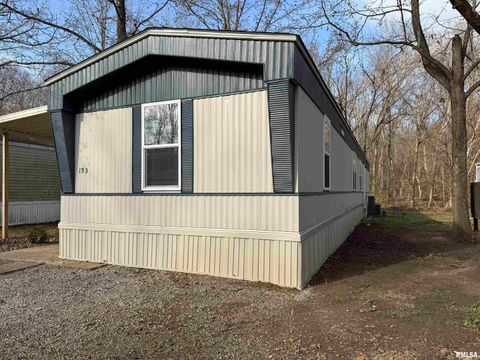 Tiny photo for 193 OAK VALLEY Drive, Carbondale, IL 62901 (MLS # EB460746)