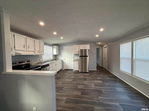 Tiny photo for 193 OAK VALLEY Drive, Carbondale, IL 62901 (MLS # EB460746)