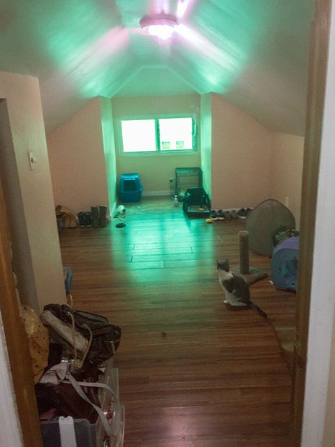 Tiny photo for 1333 W 71ST Street, Chicago, IL 60636 (MLS # 12596933)