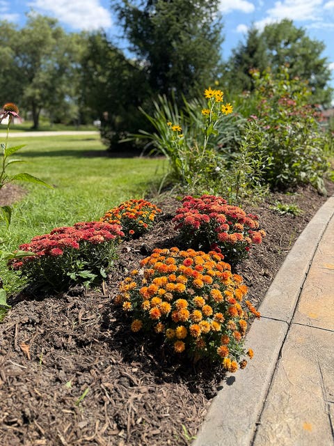 Tiny photo for 11901 W 118th Street, Palos Park, IL 60464 (MLS # 12709596)