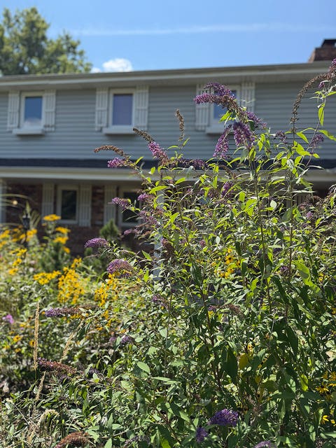 Tiny photo for 11901 W 118th Street, Palos Park, IL 60464 (MLS # 12709596)