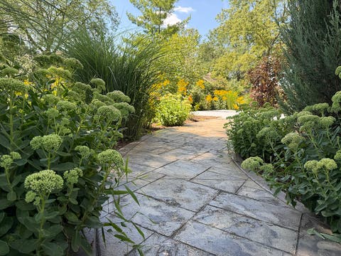 Tiny photo for 11901 W 118th Street, Palos Park, IL 60464 (MLS # 12709596)