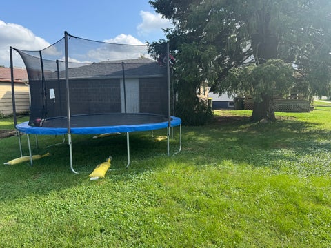 Tiny photo for 523 E Wells Street, Geneseo, IL 61254 (MLS # 12752352)