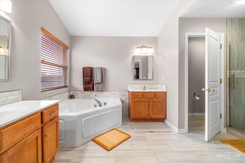 Tiny photo for 293 Dogwood Street, Bolingbrook, IL 60490 (MLS # 12568791)