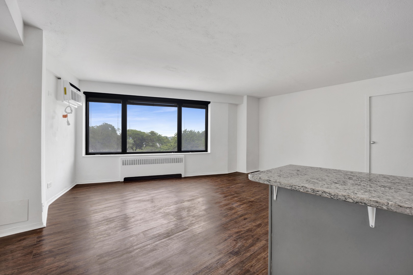 3100 N Lake Shore Drive 413