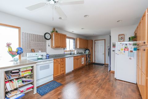 Tiny photo for 125 W Second Street, Manteno, IL 60950 (MLS # 12567018)