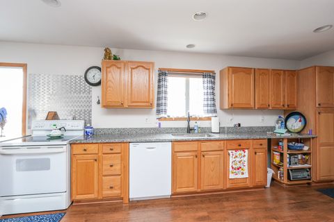 Tiny photo for 125 W Second Street, Manteno, IL 60950 (MLS # 12567018)