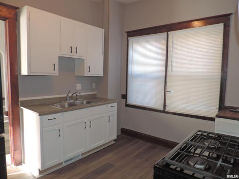 Tiny photo for 229 14TH Avenue, Moline, IL 61265 (MLS # QC4268283)