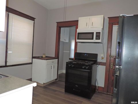 Tiny photo for 229 14TH Avenue, Moline, IL 61265 (MLS # QC4268283)