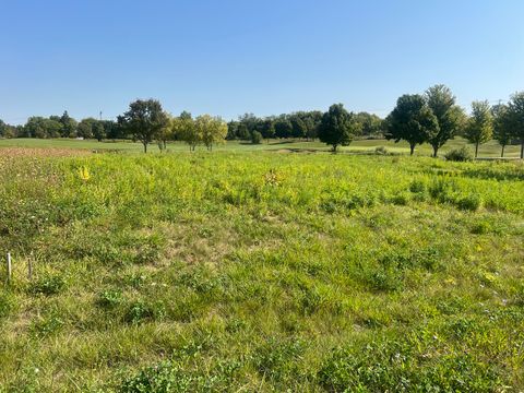 10006 Saint Andrews Drive Marengo IL 60152