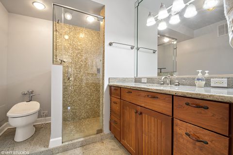 Tiny photo for Chicago, IL 60610 (MLS # 12521235)