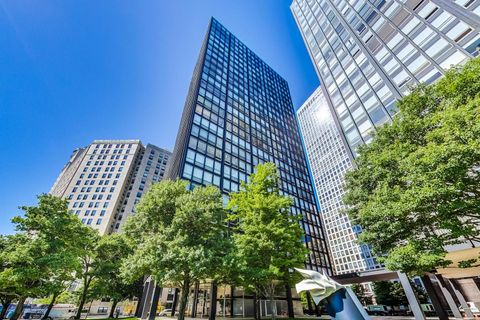 880 N Lake Shore Drive 18E Chicago IL 60611