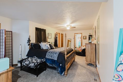 Tiny photo for 175 Oak Circle, Goreville, IL 62939 (MLS # 12571385)