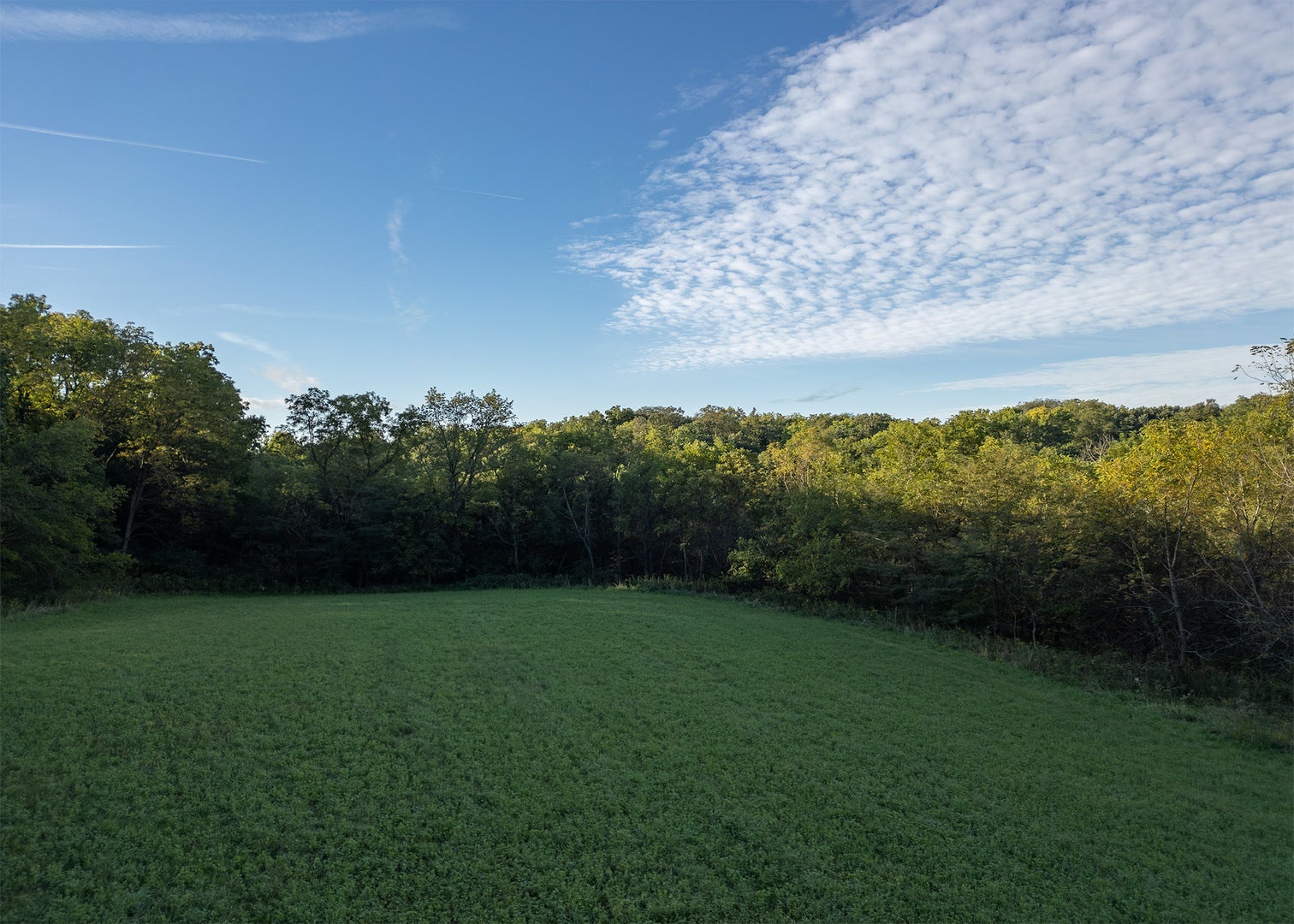 Lot 1 Mineral Road