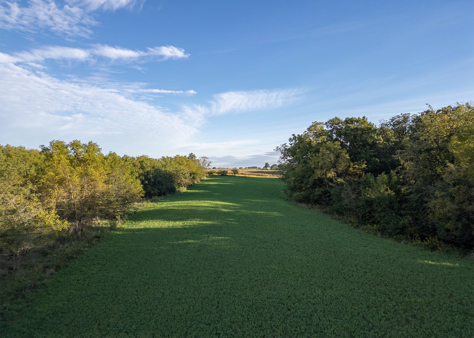 Lot 1 Mineral Road