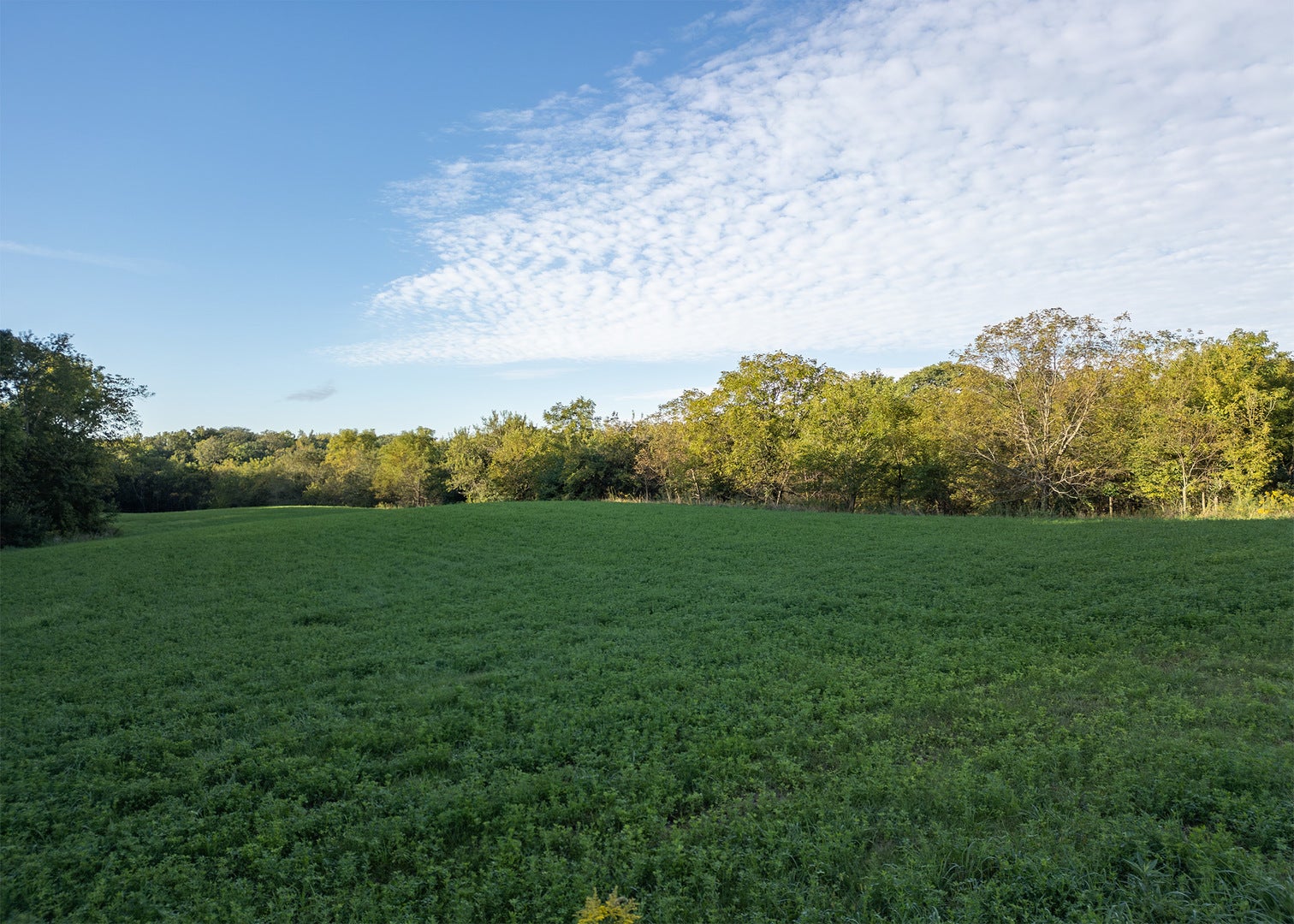 Lot 1 Mineral Road