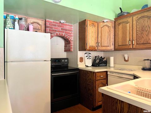 Tiny photo for 404 E 5TH Street, Johnston City, IL 62951 (MLS # EB458721)