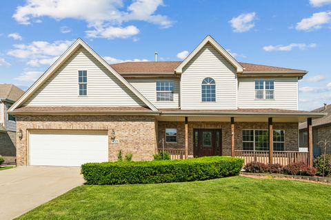 A home in Homer Glen