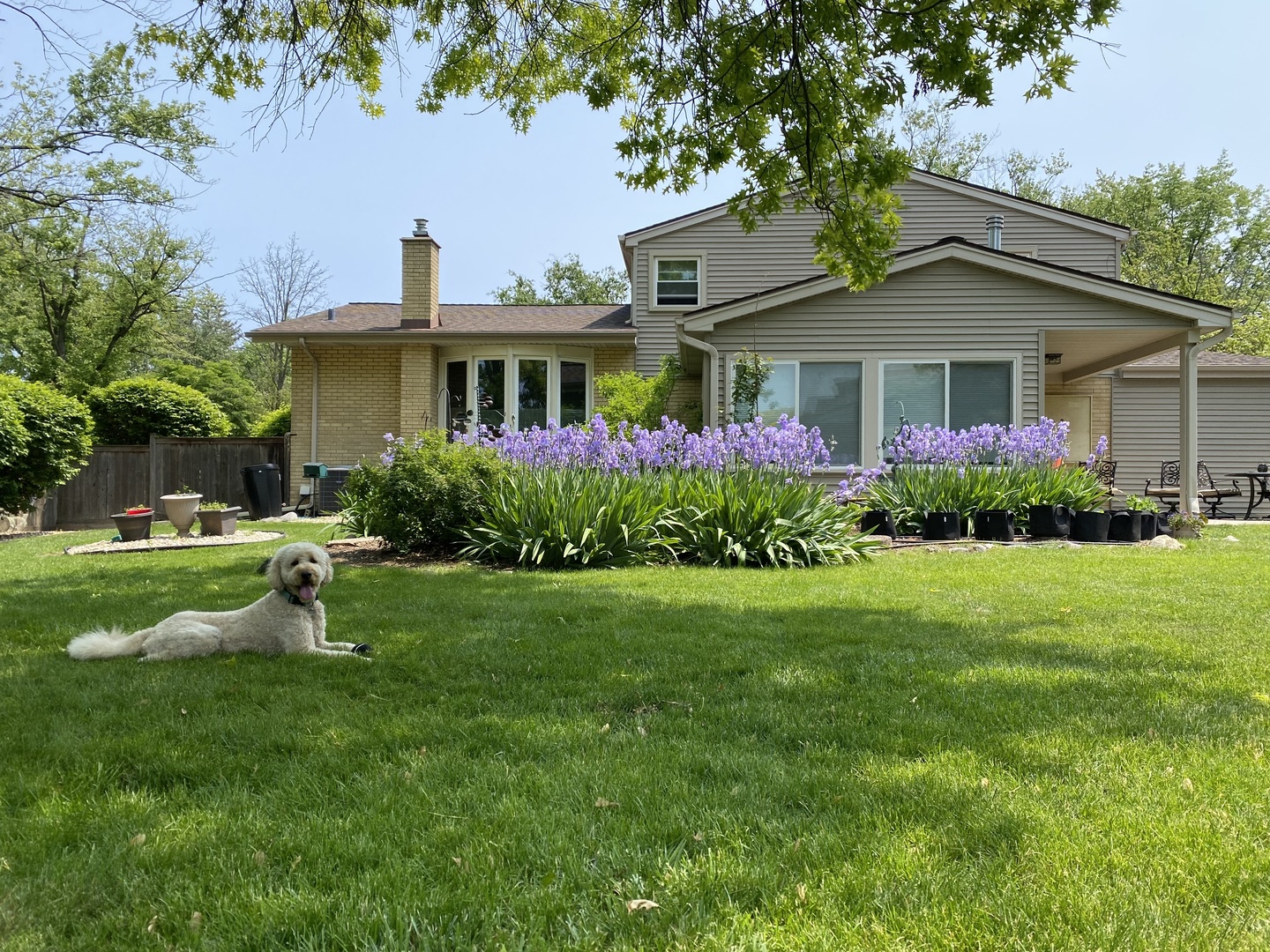 3537 Maple Leaf Drive