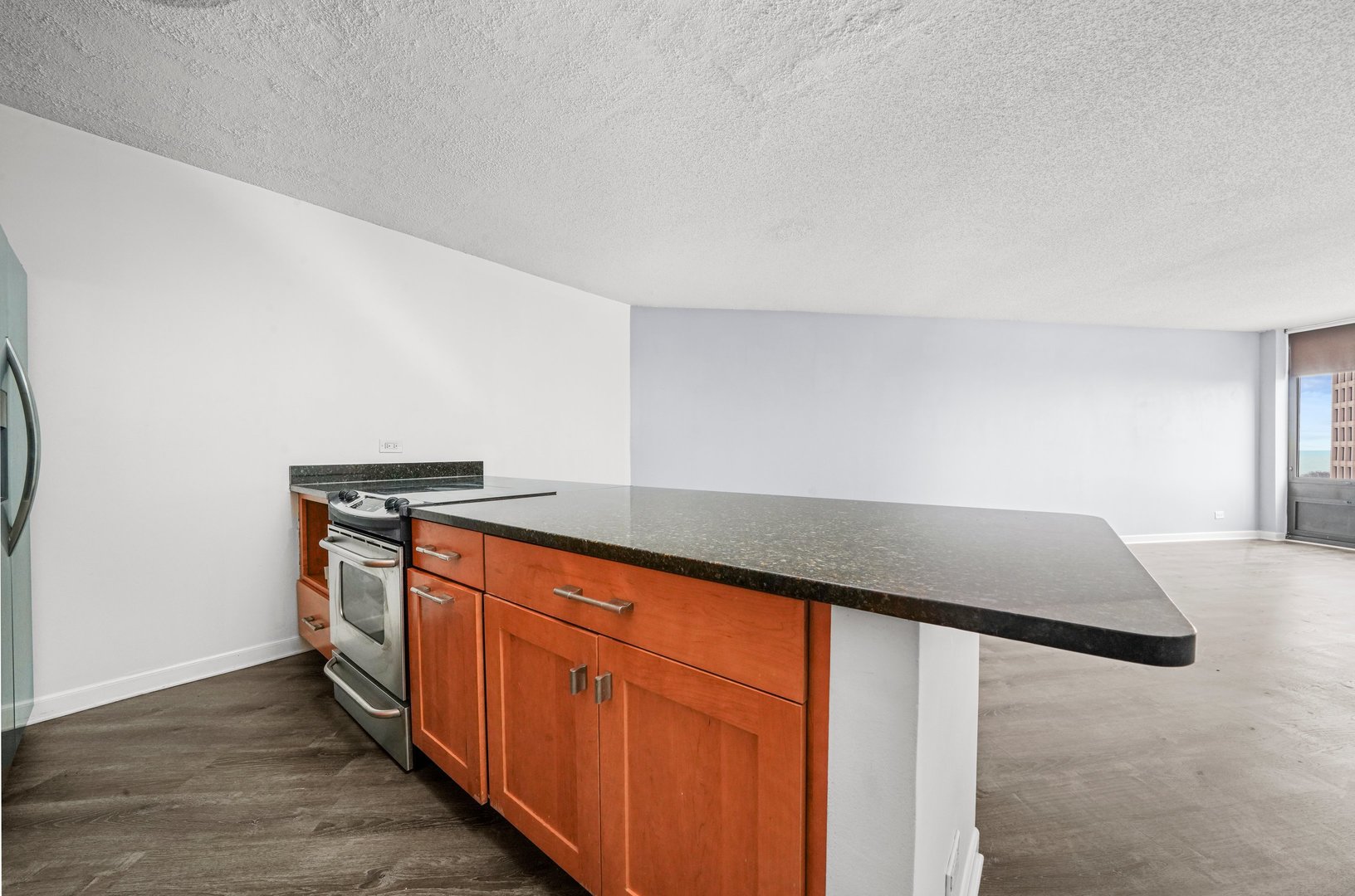 5320 N Sheridan Road 1007
