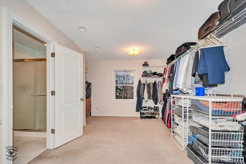 Tiny photo for 10427 Penny Court, Frankfort, IL 60423 (MLS # 12508524)