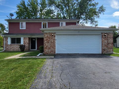 Photo of 25 Pheasant Road, Matteson, IL 60443 (MLS # 12484881)