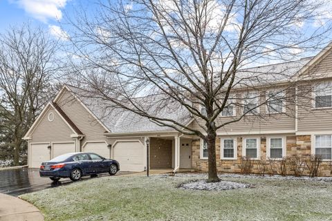 Photo of 2838 Meadow Lane #W-2, Schaumburg, IL 60193 (MLS # 12589280)