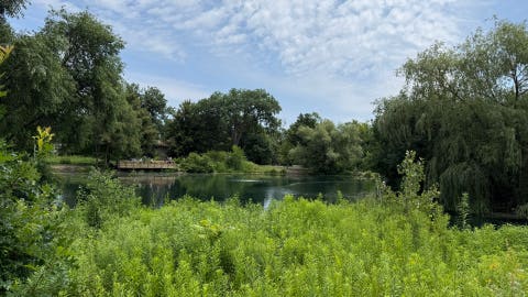 Tiny photo for 125 Boardwalk Place #201, Park Ridge, IL 60068 (MLS # 12655463)