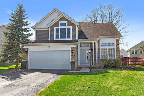 9 Royal Oak Court Lake In The Hills IL 60156