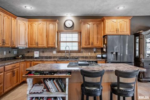 Tiny photo for 1615 POSEY Street, Marion, IL 62959 (MLS # EB458477)