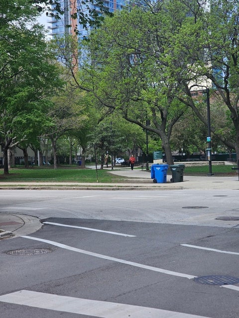 Tiny photo for 1115 S Plymouth Court #113, Chicago, IL 60605 (MLS # 12748245)