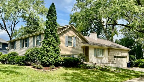 Photo of 165 Tamarack Avenue, Naperville, IL 60540 (MLS # 12449364)