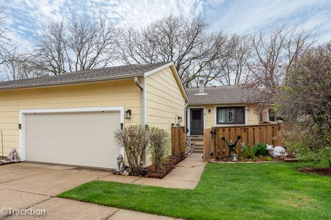 6856 Juneberry Avenue Woodridge IL 60517