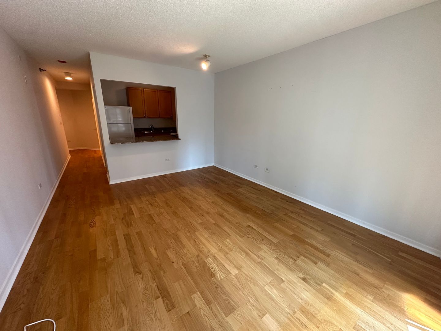 400 N La Salle Drive 906