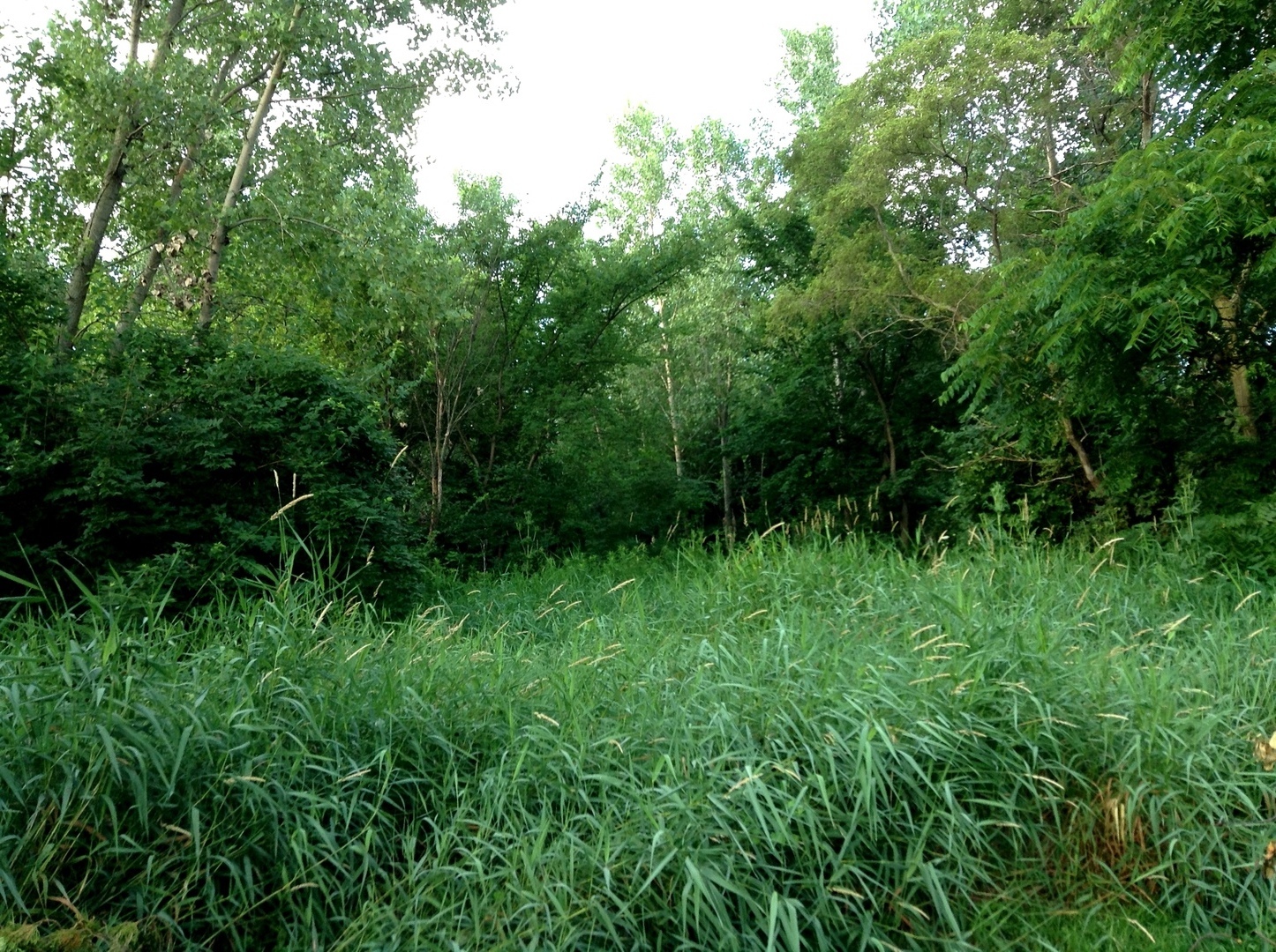 15450 W Purley Court