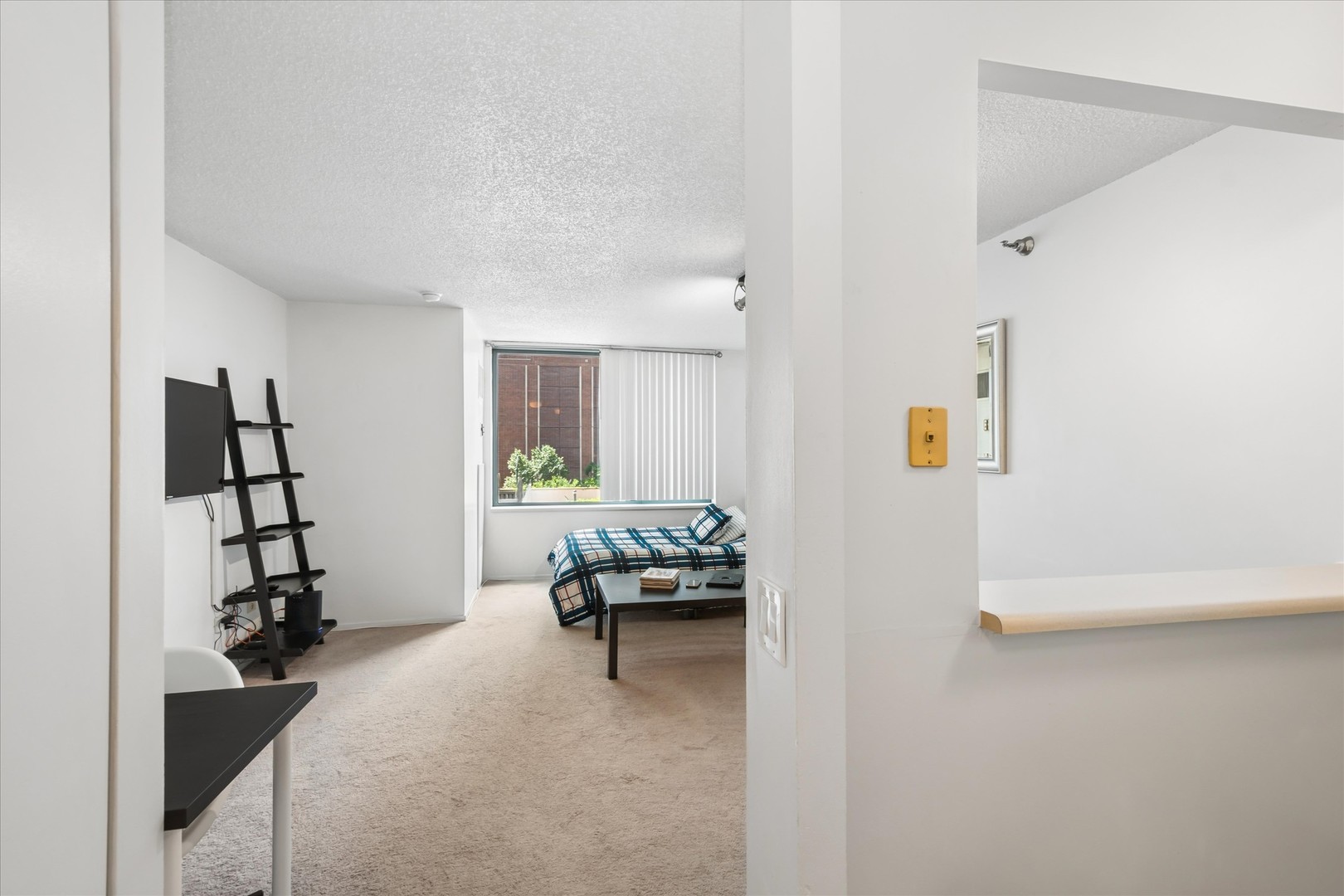 440 N McClurg Court 407S