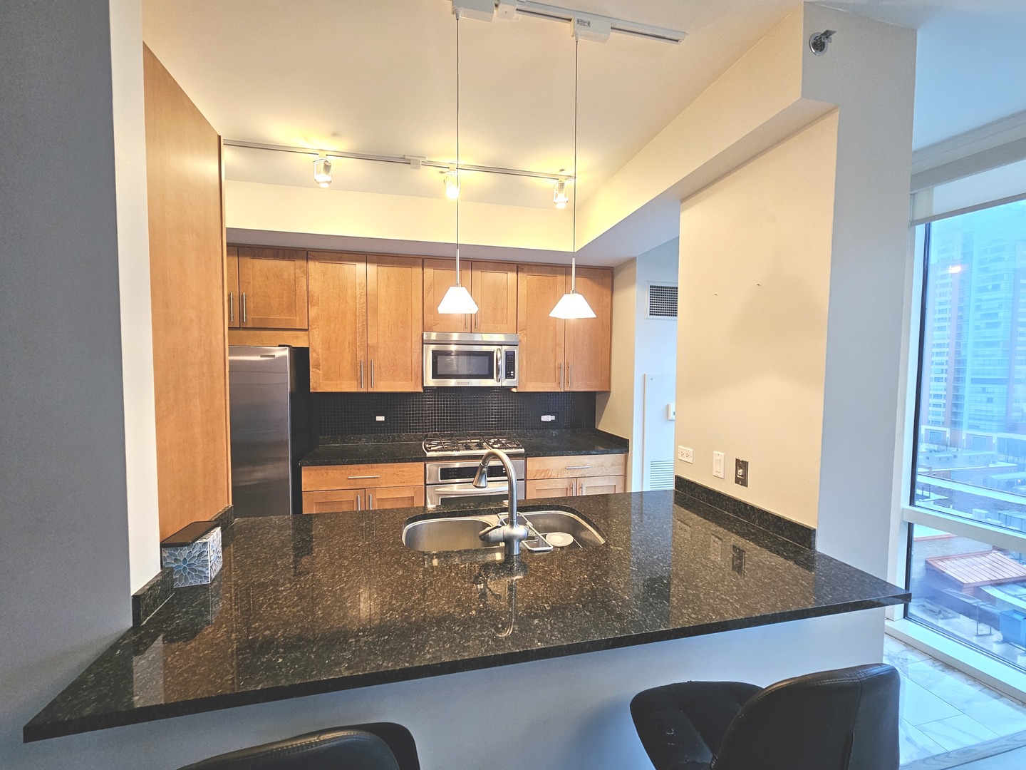 505 N McClurg Court 1205