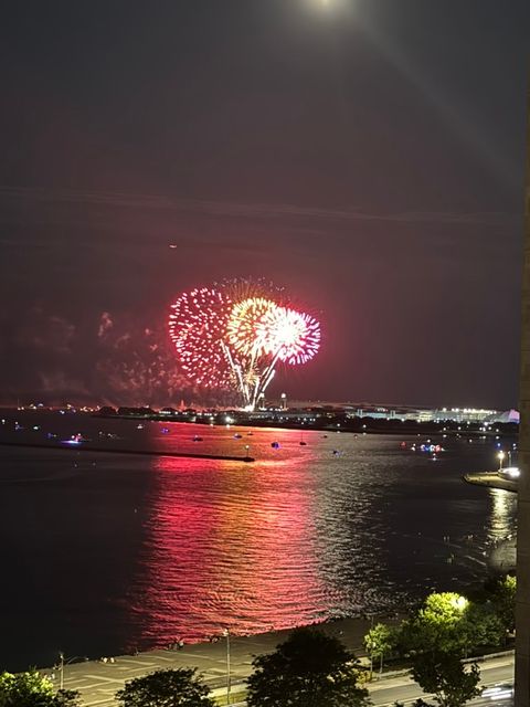 Tiny photo for 1313 N Ritchie Court #2307, Chicago, IL 60610 (MLS # 12574605)