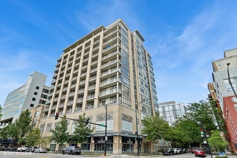 212 E Cullerton Street 702 Chicago IL 60616