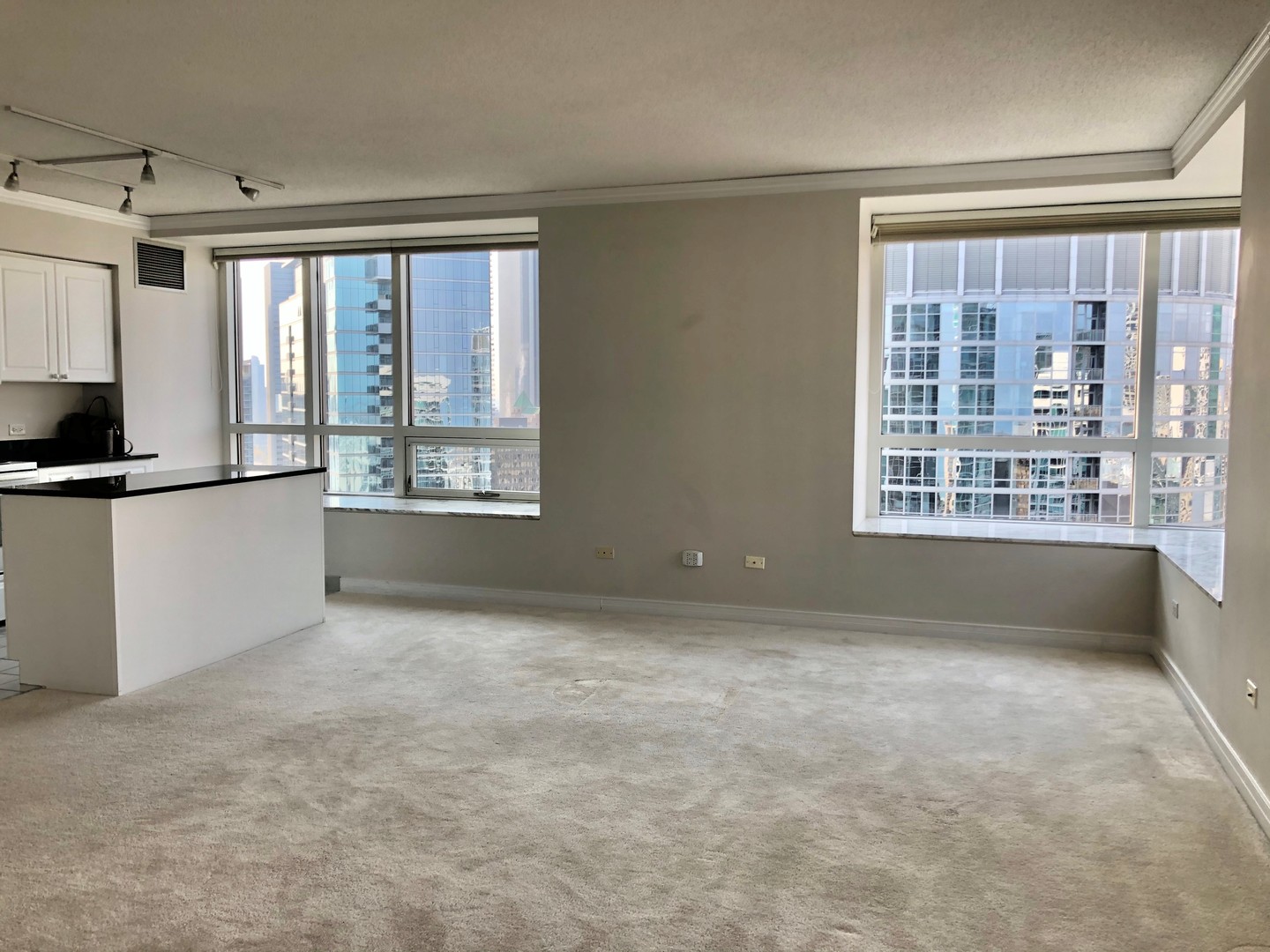 512 N McClurg Court 4410